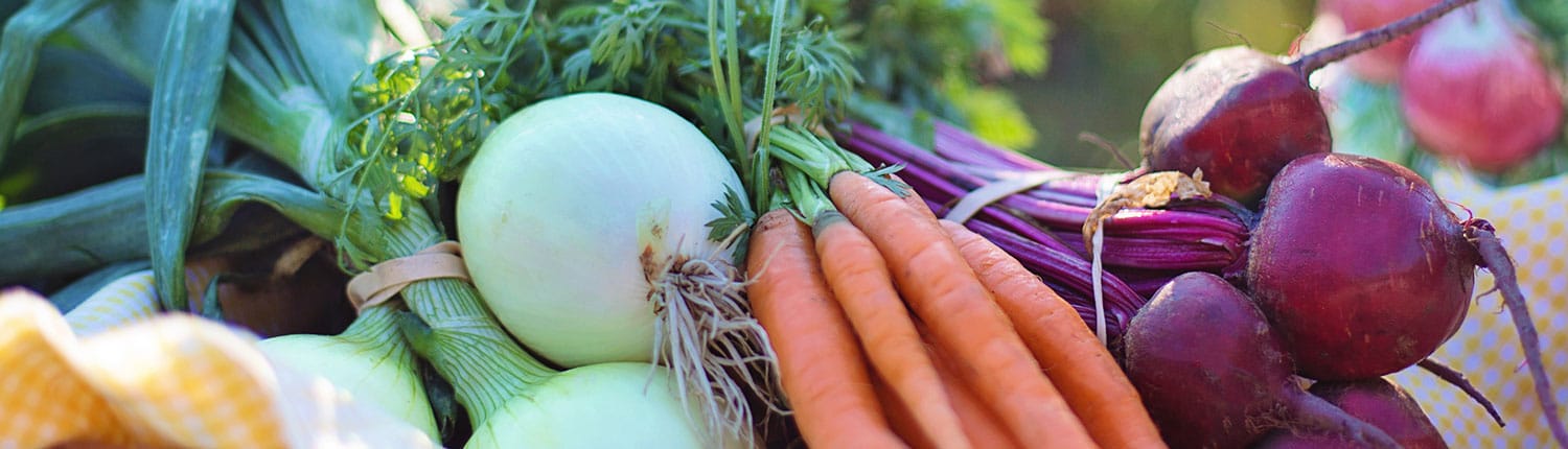 Voedingsadvies-haarlem