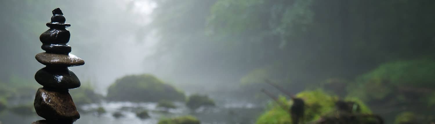 somatic-experiencing